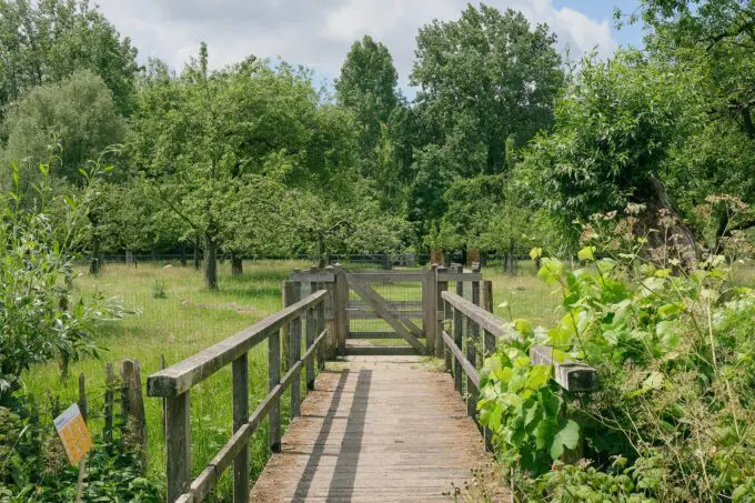 De tuin bij Stadsboerderij Koppelsteede