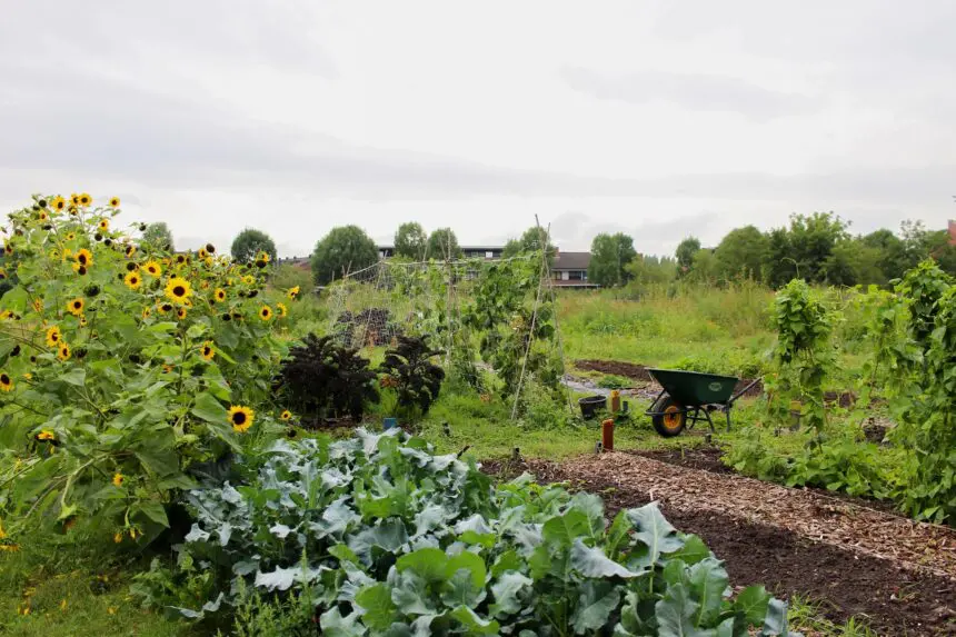 kruiwagen op de tuin kasteeltuin nijevelt
