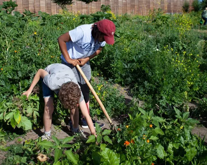 kinderen op de tuin